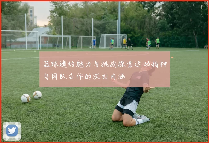 篮球逋的魅力与挑战探索运动精神与团队合作的深刻内涵