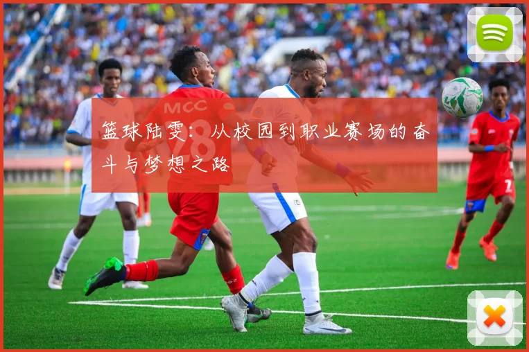 篮球陆雯：从校园到职业赛场的奋斗与梦想之路